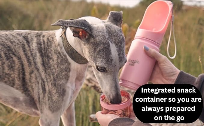 Stainless Steel Dog Travel Water Bottle, Vacuum Insulated Portable Dog Water Dispenser, Drink Cup and Snack Container On The Go, Outdoor Walking, Hiking, Travel (Forest Green)