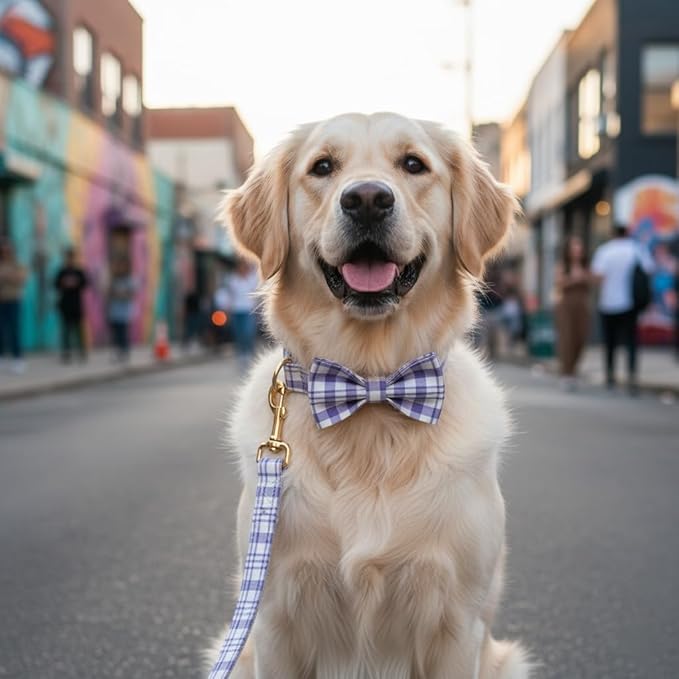 PETDURO Personalized Dog Collar Lavender Plaid for Large Medium Dogs | Engraved Name and Phone Number on Gold Metal Buckle for Girls | Add Leash & Bow Tie via Customize Now