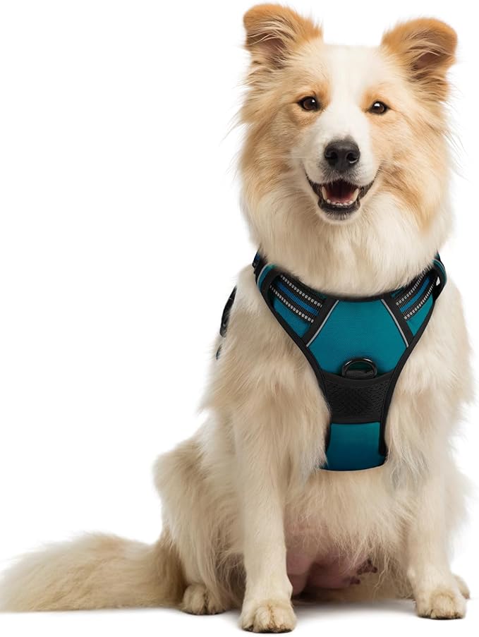 rabbitgoo Dog Harness No Pull with 2 Leash Clips, Adjustable Soft Padded, Reflective Oxford No Choke Pet Vest with Easy Control Handle for Medium Sized Dogs, Blue Coral, M