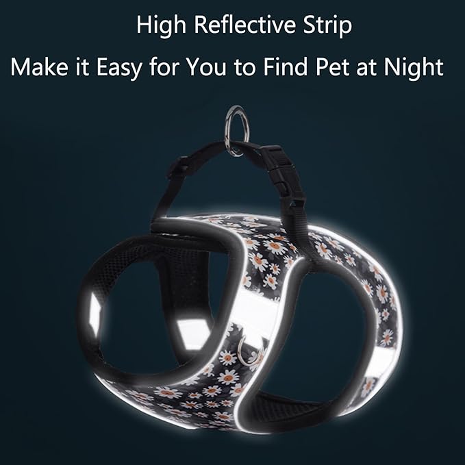 Small Dog Harness and Leash Set, Step in Dog Harness No Pull for Walking Running Training, Puppy Essentials for Dogs Cat Bunny, Adjustable Reflective Dog Vest Harness. (Black, S)