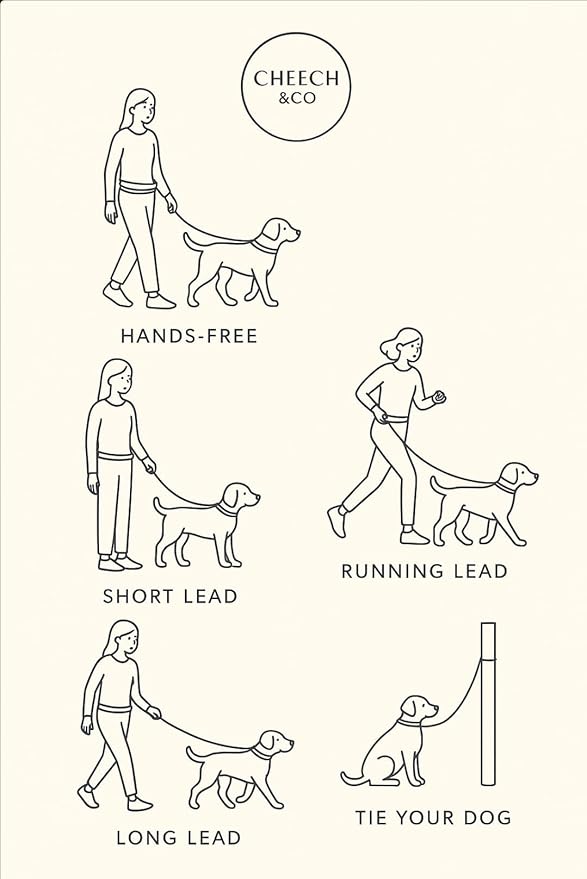 Cheech&Co Hands Free Dog Leash with Poop Bag Holder - for Walking, Hiking, Jogging & Running Small/Medium/Large Dogs (Adjustable 4.3–8.6 ft Light Blue)