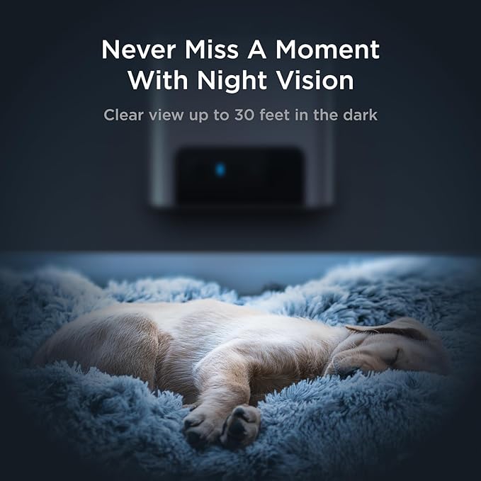 Petcube Bites 2 Lite Interactive WiFi Pet Monitoring Camera with Phone App and Treat Dispenser, 1080p HD Video, Night Vision, Two-Way Audio, Sound and Motion Alerts, Cat and Dog Monitor