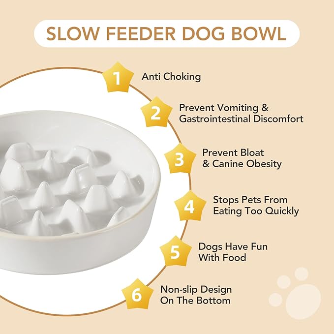 Ceramic 3.2 Cup Dog Bowl Slow Feeder, 9.5 inch Slow Pet Food Dish for Large Dog, Stop Bloat, Preventing Choking(Single Bowl,Reactived Glaze -White)