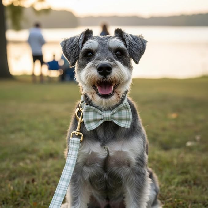 PETDURO Personalized Dog Collar Sage Green Plaid for Large Medium Dogs | Engraved Name and Phone Number on Gold Metal Buckle for Boys & Girls | Add Leash & Bow Tie via Customize Now