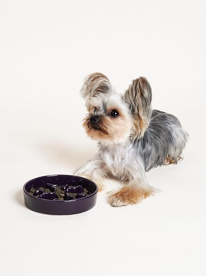Ceramic Slow Feeder Dog Bowls Small Breed, 0.5 Cups Dog Food Dish for Fast Eaters, Puzzle Bowl for Small Dogs and Cats, 5.5 Inch-Purple
