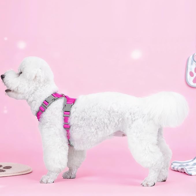 Small Dog Harness and Leash Set,No Pull Adjustable Pet Harness for Small Dogs ,Breathable Mesh Reflective Dog Vest Harness (Rose Red, XS)