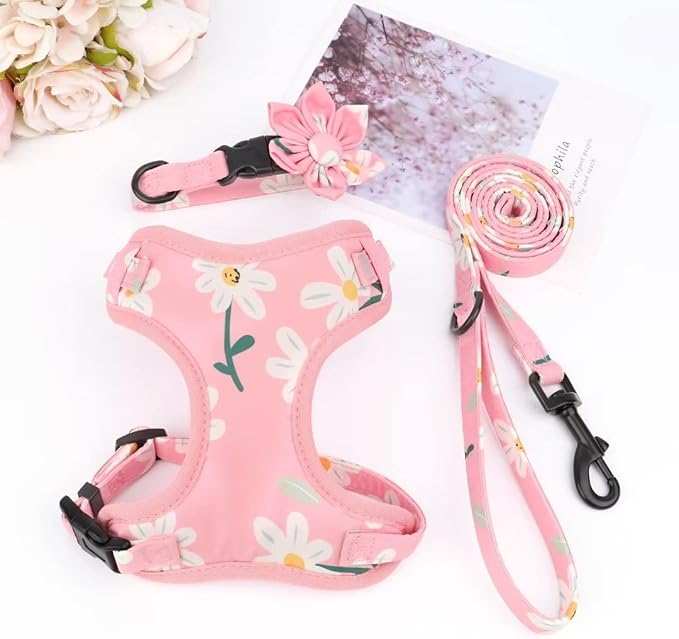 Beirui Cute Girl Dog Collars, Harnesses & Leashes Set - Adjustable Dog Collar and Leash Set with Flower - Soft Mesh Dog Vest Harness for Puppies Small & Extra Small Dogs Cats (Pink-1,XXS)