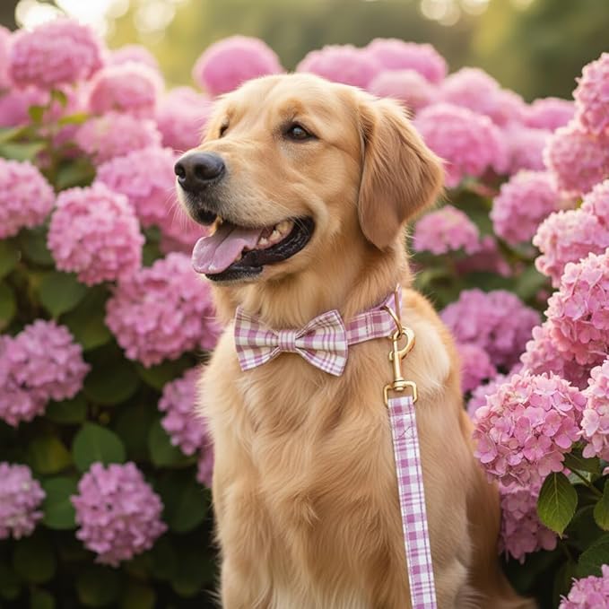 PETDURO Personalized Dog Collar Pink Plaid for Large Medium Dogs | Engraved Name and Phone Number on Gold Metal Buckle for Girls | Add Leash & Bow Tie via Customize Now