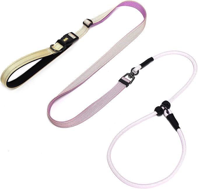 QQPETS Adjustable Slip Lead Dog Leash, Hands Free Waist Leash for Dog Walking, Reflective Training Lead with 360° Swivel Anti-Tangle, 4-7 ft Length for All Breeds