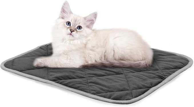 NWK Self Warming Thermal Pet Mat for Dogs and Cats, Body Heat Reflecting Cat Bed Mat, Washable, for Sofa & Crate & Kennel & Car Seat (Obsidian Black, Small (20'' X 16'' X 0.4''))