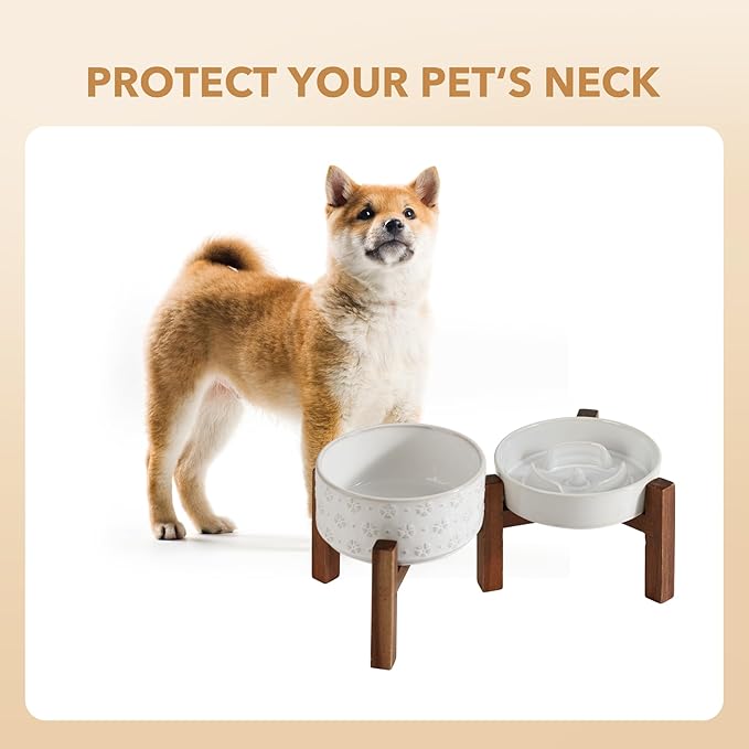 Ceramic 0.9 Cup Raised Slow Feeder Dog Bowl Set, Elevated 6.1inch Water Bowl and 6.1inch Slow Dish with Acacia Wood Stand for Small Dogs (2 x Reactived Glaze -White+ Stand)