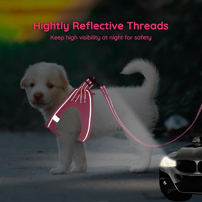 BELLA & PAL Step in Vest Harness for Small and Medium Dogs, No Pull Small Dog Harness with Leash Set, Comfortable Air Mesh Dog Vest Harness with Reflective Strip (Hot Pink, L)