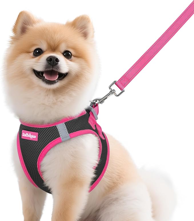 rabbitgoo Dog Harness Small Sized and Leash Set, Step-in Breathable Pet Harness, Soft Walking Reflective Puppy Vest for Small Dogs, Black & Rose Red, M