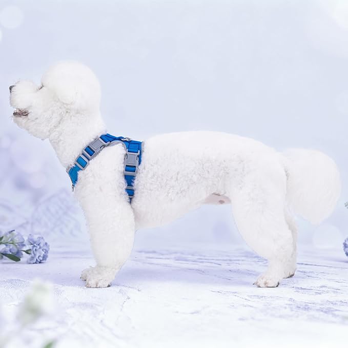 Small Dog Harness and Leash Set,No Pull Adjustable Pet Harness for Small Dogs ,Breathable Mesh Reflective Dog Vest Harness (Blue, XS)