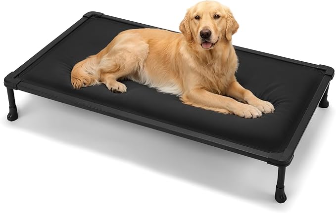 Veehoo Chewproof Elevated Dog Bed, Durable Raised Pet Cot with Soft PP Cotton-Filled Waterproof Mat, Washable Padded Cot for Indoor, Outdoor & Camping, 49-Inch, Black