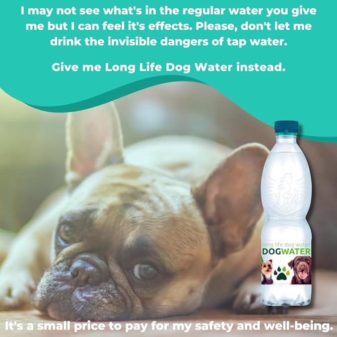 Daily Spring Canine Water, pH-Balanced Water for Dogs, Helps with Electrolytes for Dogs & Improve Dog Hydration, Mineral-Free - 12-Pack