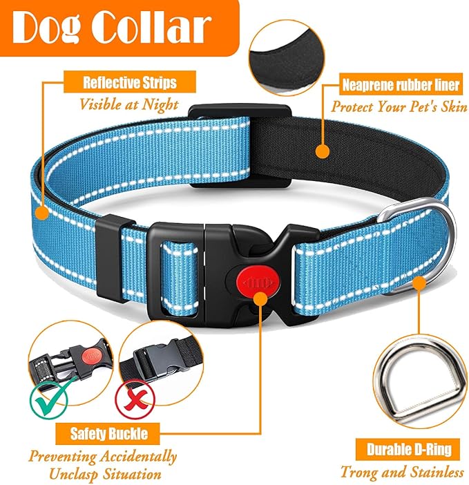 No Pull Dog Harness, Collar & Leash Set | Includes Dog Seat Belt, Collapsible Bowls & Poop Bag Dispenser. Ideal for Training, Walking, Hiking. Fits Small to Large Dogs(Blue-L)
