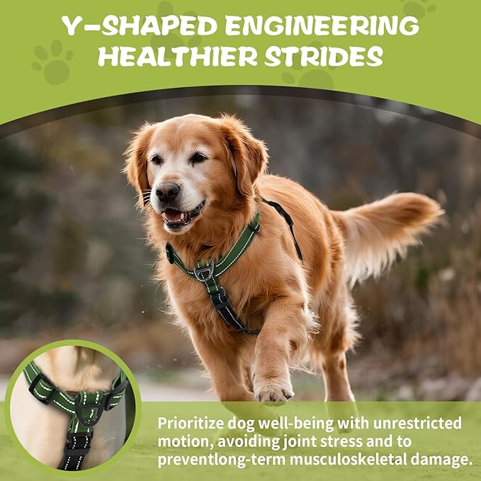 No-Pull Harness,Y-Shaped Design,Buckle-Neck Balance Harness with Reflective Stitching, Ideal for Dog Training and Night Walking, Padded Handle, Durable High-Tensile Nylon-Green-L
