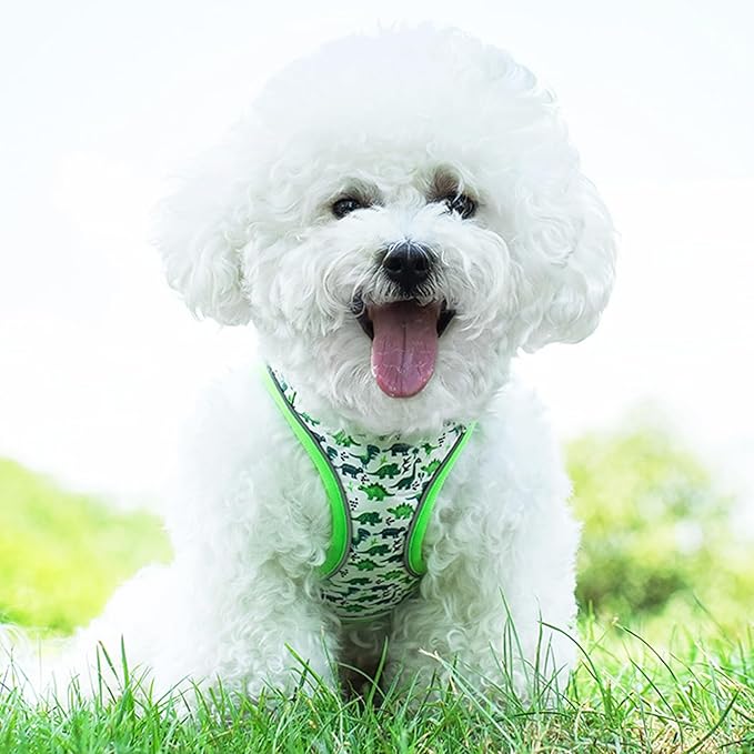 XS Dog Harness and Leash Set, Step in Dog Harness No Pull for Walking Running Training, Puppy Essentials for Dogs Cat Bunny, Adjustable Reflective Dog Vest Harness. (Green, XS)