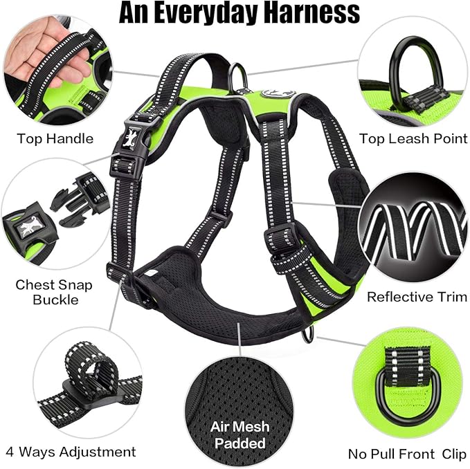 PoyPet No Pull Dog Harness, Reflective Comfortable Vest Harness with Front & Back 2 Leash Attachments and Easy Control Handle Adjustable Soft Padded Pet Vest for Small to Large Dogs (Green,M)