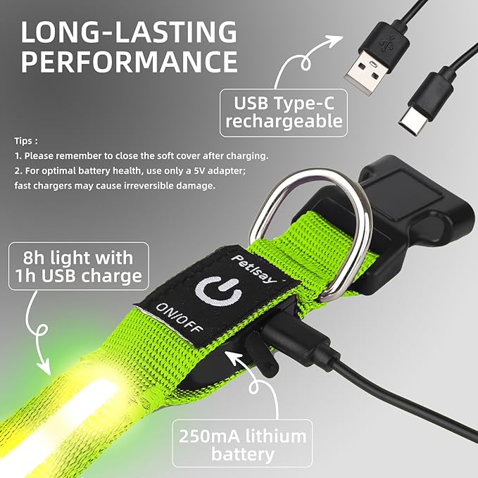 LED Dog Collar for Small Dogs Cats - Fully Waterproof & Adjustable Glow Collar - USB-C Rechargeable for Night Walking, Safety - Flashing Lighted Collar for Dogs(Green,S)
