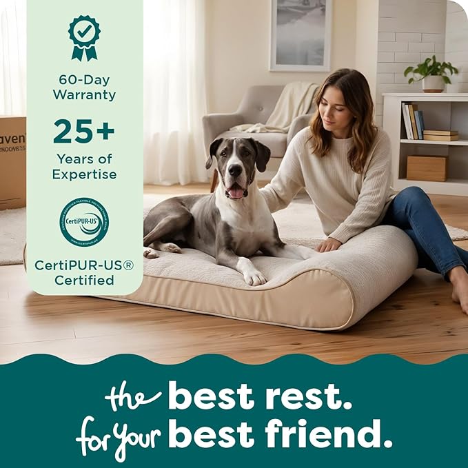 FurHaven Orthopedic Dog Bed for Large Dogs, Luxe Lounger Contour Mattress with Solid Orthopedic Foam Slab for Joint Support, Removable Washable Cover - Jumbo Plus XXL, Plush Suede, Cream