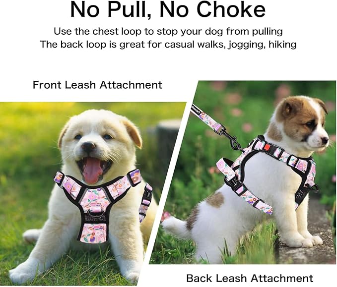 Petmolico No Pull Dog Harness Set with Leash Attachment Easy Control Handle Reflective Harness Vest Small Breed, Puppy Vest and Leash Set with Poop Bag Holder, Small - Pink Flowers