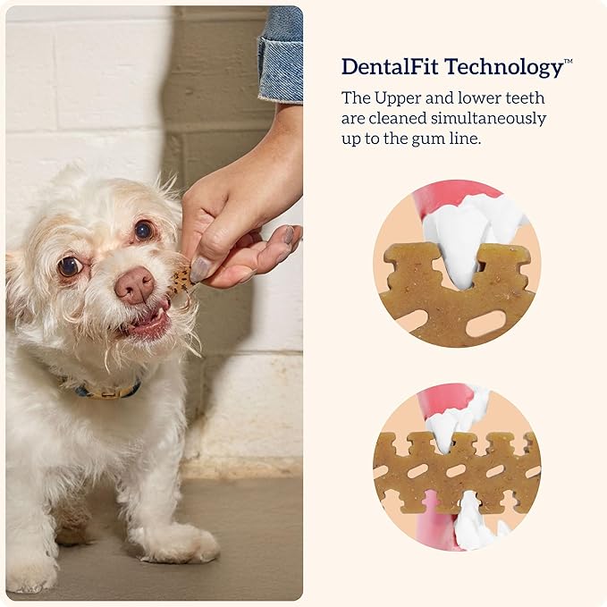 Groovies Slightly Softer, Yet Flexible Dental Chew for Senior Dogs & Delicate Chewers. Powered by USA-Patented DentalFit Tech. No Added Gluten, No Artificial Flavors or Colors. 6oz Large (6Chews)