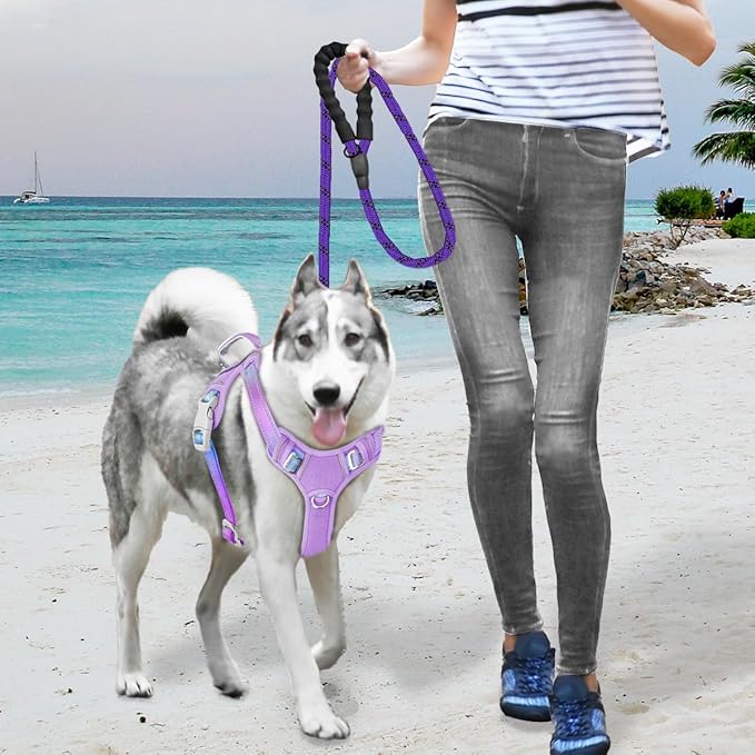 BARKBAY No Pull Dog Harness Large Reflective Dog Harness with Front Clip and Easy Control Handle for Walking Training Running with ID tag Pocket(Lavender Sky,M)