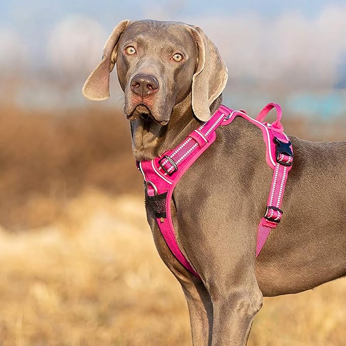 TRUE LOVE Dog Harness No Pull Nylon Reflective Pet Harness Adjustable Comfortable Control Step-in Brilliant Colors Truelove TLH56512 Fuchsia