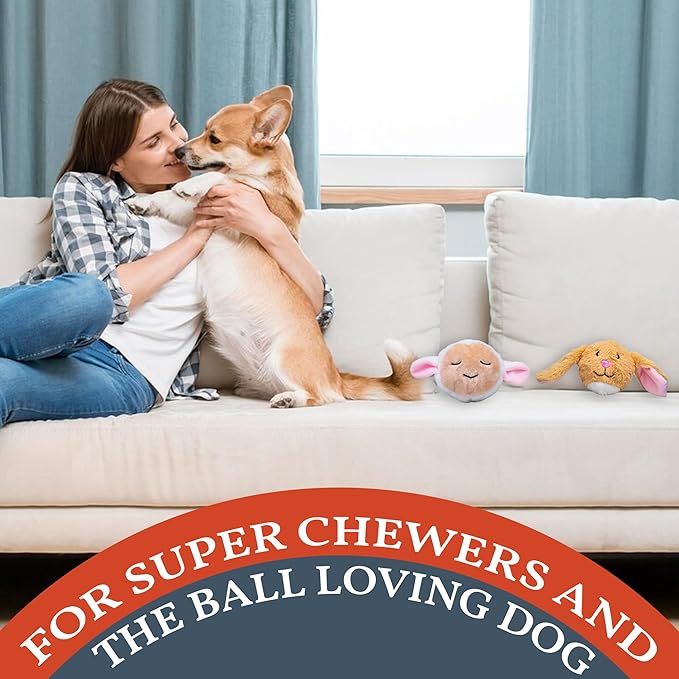 Flourish Pets 2 in 1 Multi-Layer Chew Toy for Active Dogs | Non-Toxic BPA Free Double Stitched Soft Fabric Exterior Dog Toys | Long-Lasting Dog Plush Toys – Easter 3.5" (2 Pack)