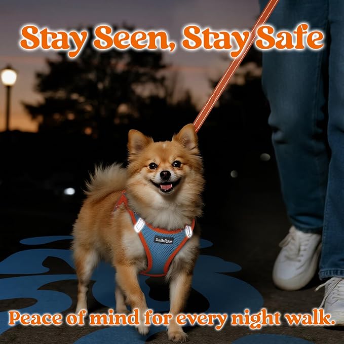 rabbitgoo Dog Harness Small Sized and Leash Set, Step-in Breathable Pet Harness, Soft Walking Reflective Puppy Vest for Small Dogs, Light Blue & Orange, S