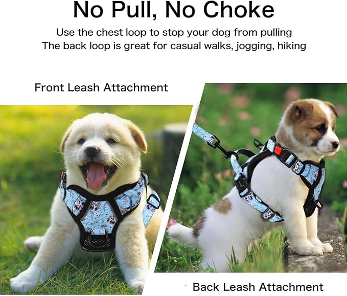 Petmolico No Pull Dog Harness Set with Leash Attachment Easy Control Handle Reflective Harness Vest Small Breed, Puppy Vest and Leash Set with Poop Bag Holder, Small - White Rose