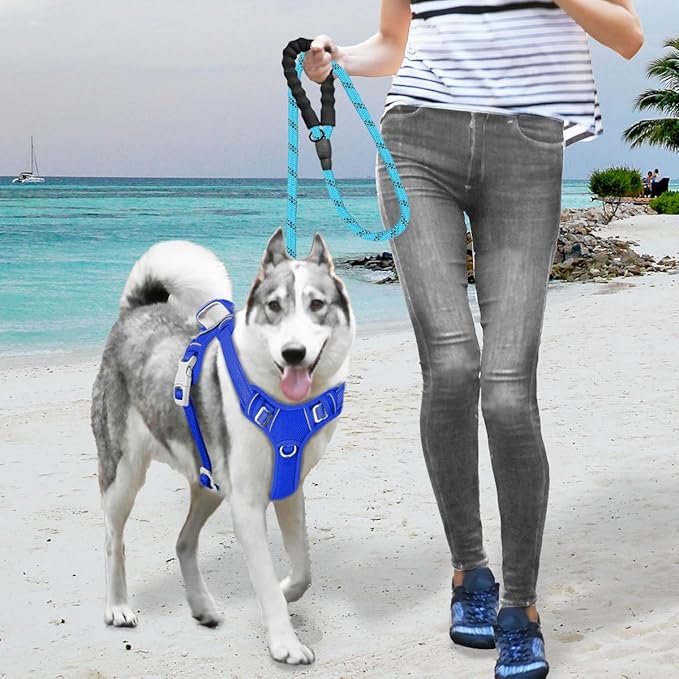 BARKBAY No Pull Dog Harness Large Reflective Dog Harness with Front Clip and Easy Control Handle for Walking Training Running with ID tag Pocket(Sapphire Blue,S)