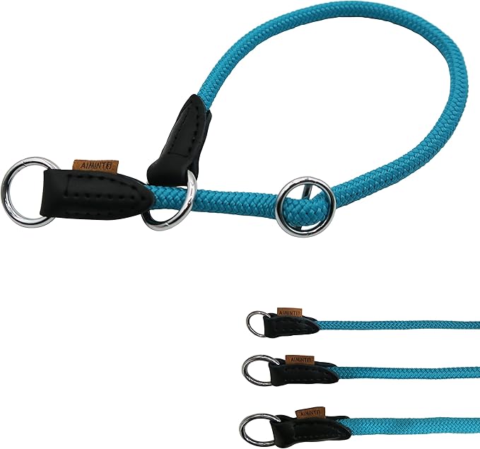 Braided Round Martingale Dog Collar, Training Collar with Slidable Stop Ring - Ideal for Small Medium Dogs (M- (1/3") - 18" Long, Light Blue)