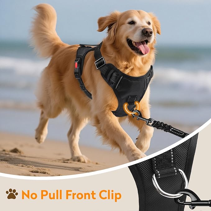 No Pull Dog Harness with 2 Leash Clips, Reflective Adjustable Soft Padded Vest with Handle, Breathable Oxford No Choke Pet Vest for Medium Sized Dogs, Black,M