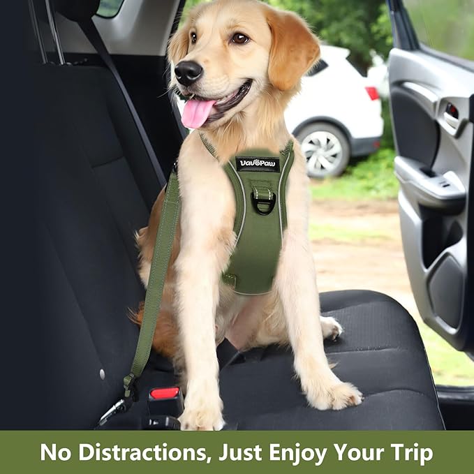 Dog Seat Belt Harness for Car, Dog Car Harness Adjustable Mesh Breathable & Dogs Seatbelt Safety Tether with Elastic Bungee for Small Medium Large Pets(Army Green, M)