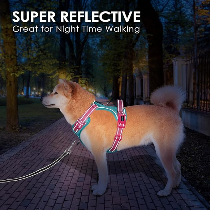 PHOEPET No Pull Dog Harness, Unique Colors Reflective Adjustable Dog Vest, with Soft Training Handle Metal Clips for Small Medium Large Dogs (Mint Green Base & Pink Straps,S)
