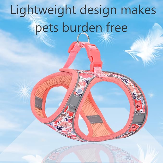 XXS Dog Harness and Leash Set, Step in Dog Harness No Pull for Walking Running Training, Puppy Essentials for Dogs Cat Bunny, Adjustable Reflective Dog Vest Harness. (Orange, XXS)