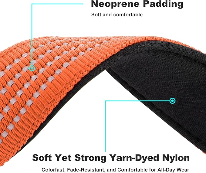 Plutus Pet Tactical Dog Collar with Tracker Packet for AirTag, Adjustable Reflective Nylon Collar, Metal Buckle, Leather-Wrapped Handle, Soft Padded for Medium Large Dogs (Orange, S)