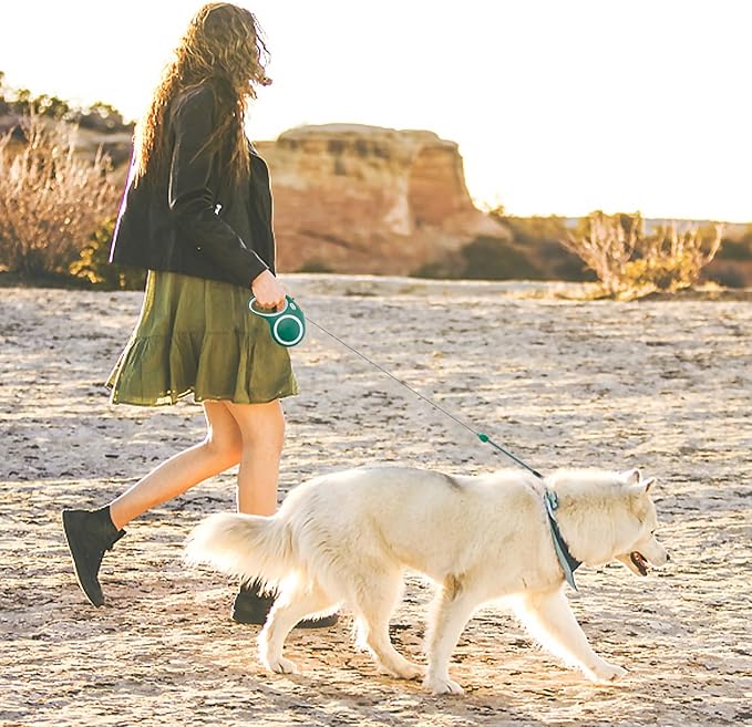 Retractable Dog Leash, Meekamar 30 FT Dog Walking Leash for Medium Large Dogs up to 77 lbs, Heavy Duty No Tangle, Large