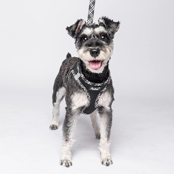 PUPTECK Dog Harness and Leash Set for Small Medium Dogs No Pull Step-in Soft Mesh Puppy Cat Vest Harnesses Reflective at Night, Black S