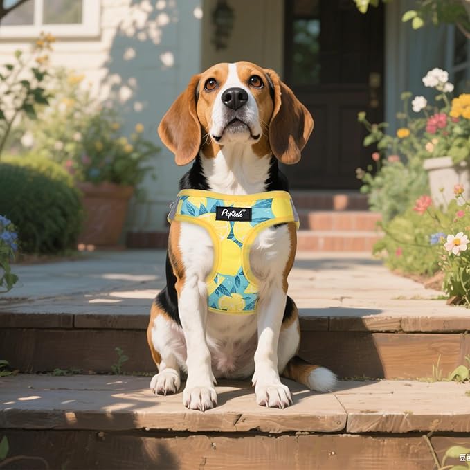 PUPTECK Dog Harness and Leash Set for Small Medium Dogs No Pull Step-in Soft Mesh Puppy Cat Vest Harnesses Reflective at Night, Yellow Lemon, S