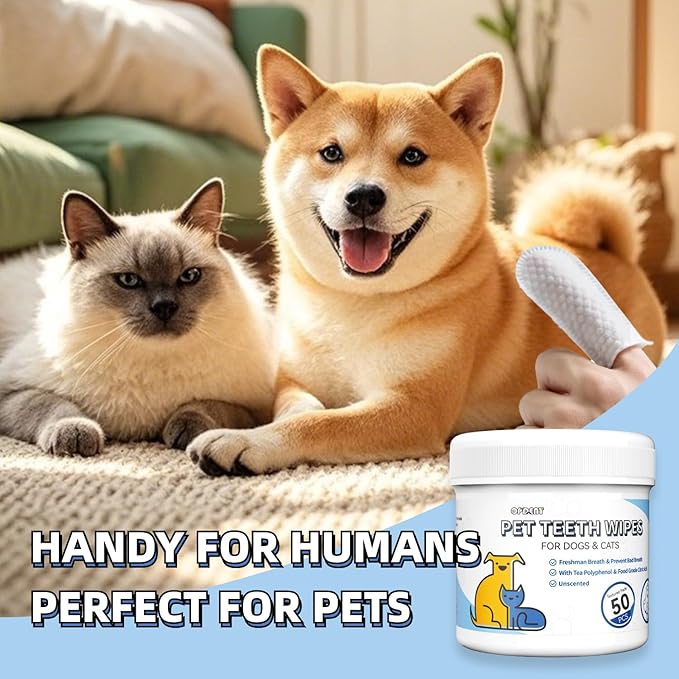 No-Rinse Dog Teeth Cleaning Wipes - Cat & Dog Fresh Breath Pet Dental Finger Wipes, Dog Toothbrush Dental Wipes to Easy Remove Plaque & Tartar, Gently Cleans Discharge (XL-50PCS, Honey)