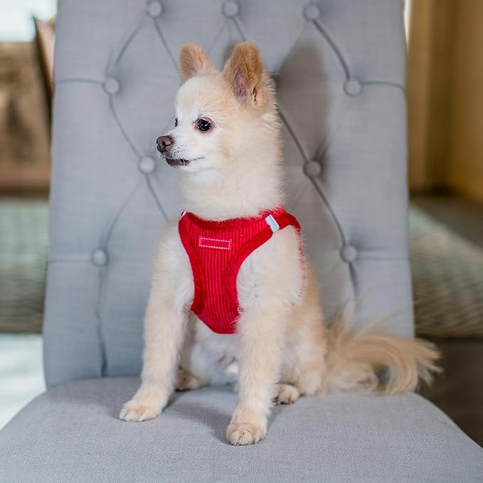 Best Pet Supplies - All Weather Mesh/Plush, Reflective, No Pull Harness for Small, Medium Dogs, Cats - Secure with Hook & Loop Fastener, Buckle, Double D-Rings - Harness (Red Corduroy), S