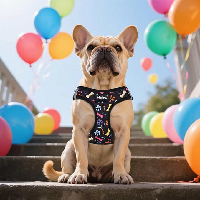 PUPTECK Dog Harness and Leash Set for Small Medium Dogs No Pull Step-in Soft Mesh Puppy Cat Vest Harnesses Reflective at Night, Black Paw, M