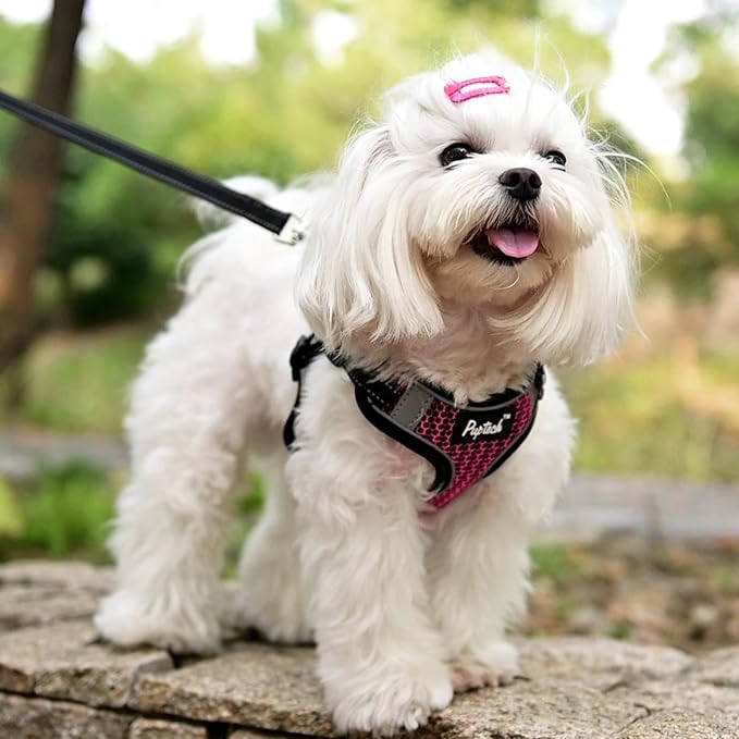 PUPTECK Dog Harness and Leash Set Small Sized, Step in No Pull Adjustable Puppy Cat Harness Reflective Pet Vest