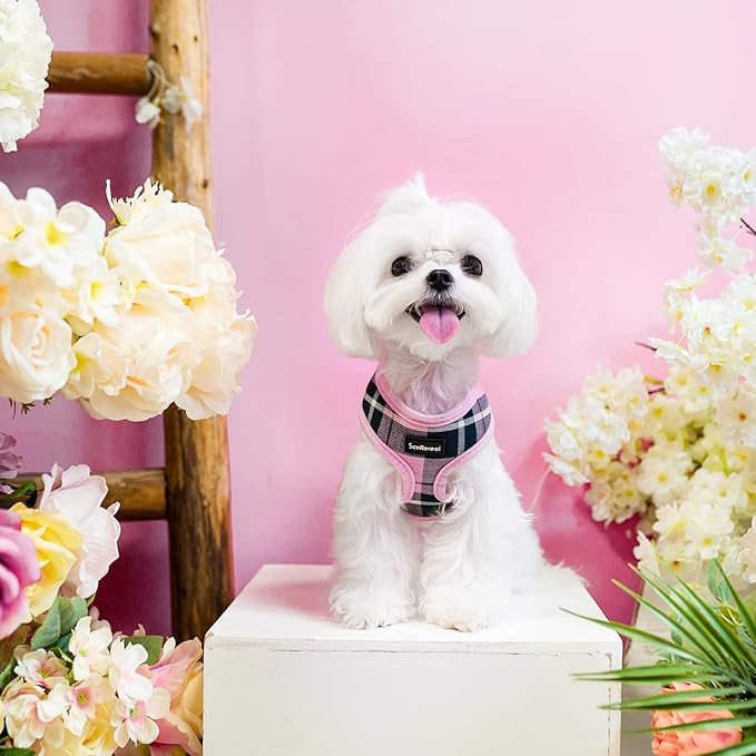 SCENEREAL Puppy Dog Harness with Leash Set for Small Medium Sized Dogs, Soft Mesh Step in Pet Harnesses and Leash, No Chock Plaid Adjustable No Pull Vest for Dogs Cats, Chihuahua,Bulldog (Pink S)