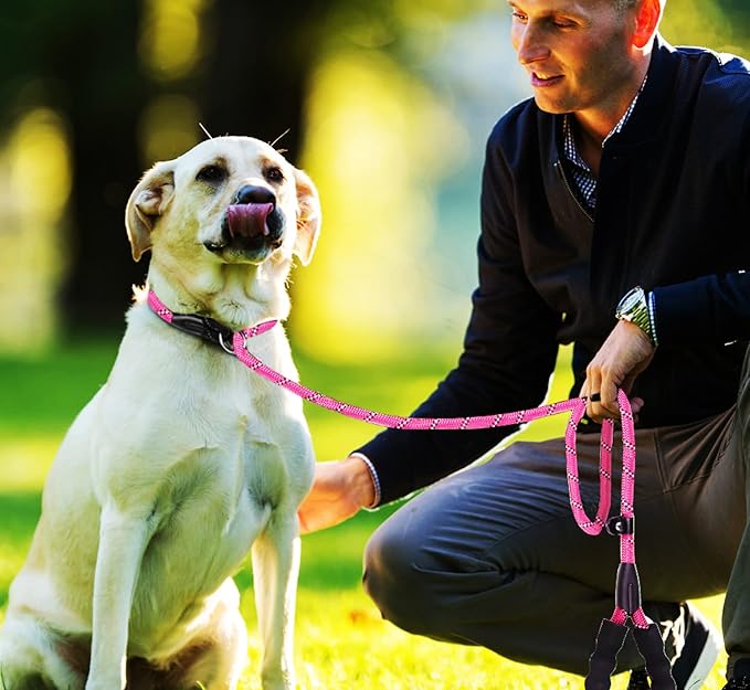 Durable Dog Leash, 6 FT Strong Training Dog Leash with Comfortable Padded Handle and Highly Reflective Threads for Small Medium and Large Dogs, (Pink)