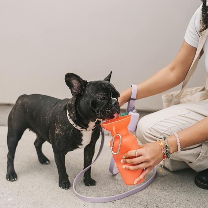 Springer by Springland Dog Water Bottle | Portable Travel Water Bottle Dispenser for Dogs | Dog Gift Seen on Oprah's Favorite Things, Shark Tank | Leak-Proof Bottles | BPA-Free 22oz Poppy